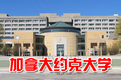 加拿大约克大学定向班，山东财经大学加拿大留学